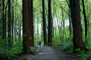 Hiking at the Hoyt Arboretum